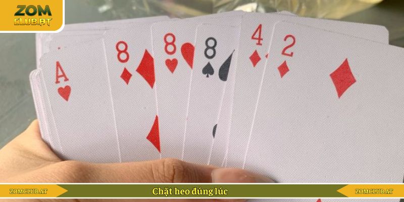 Kinh nghiệm đánh heo đúng thời điểm