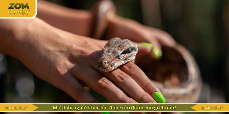 Mơ thấy người khác bắt được rắn đánh con gì chuẩn?