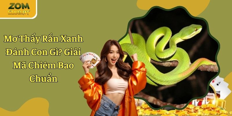Mơ Thấy Rắn Xanh Đánh Con Gì - Tìm Kiếm Con Số Phát Tài