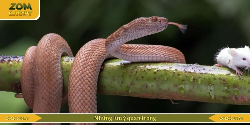 Những lưu ý quan trọng