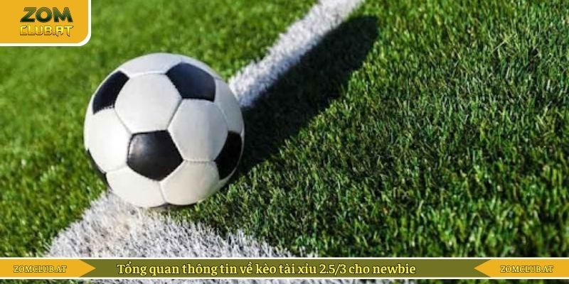 Tổng quan thông tin mới nhất về kèo tài xỉu 2.5/3 cho newbie 